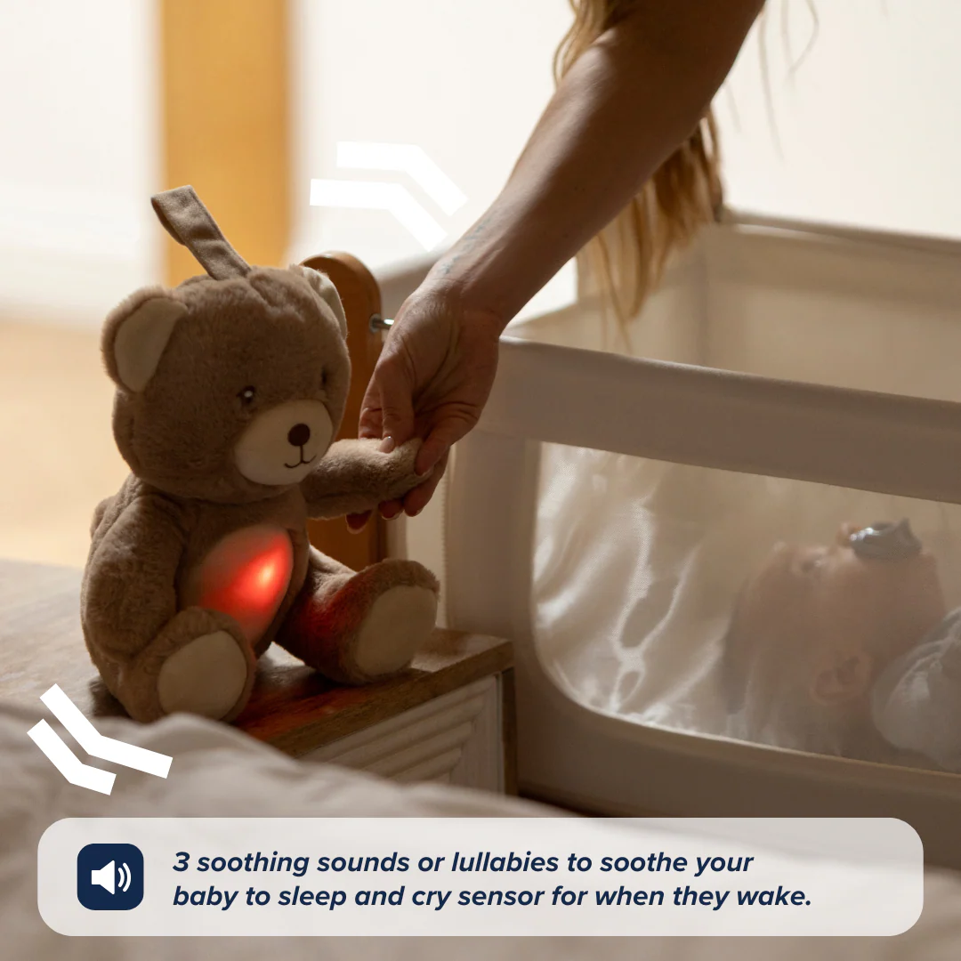 Biscuit Bear Bedtime Bundle - Image 7