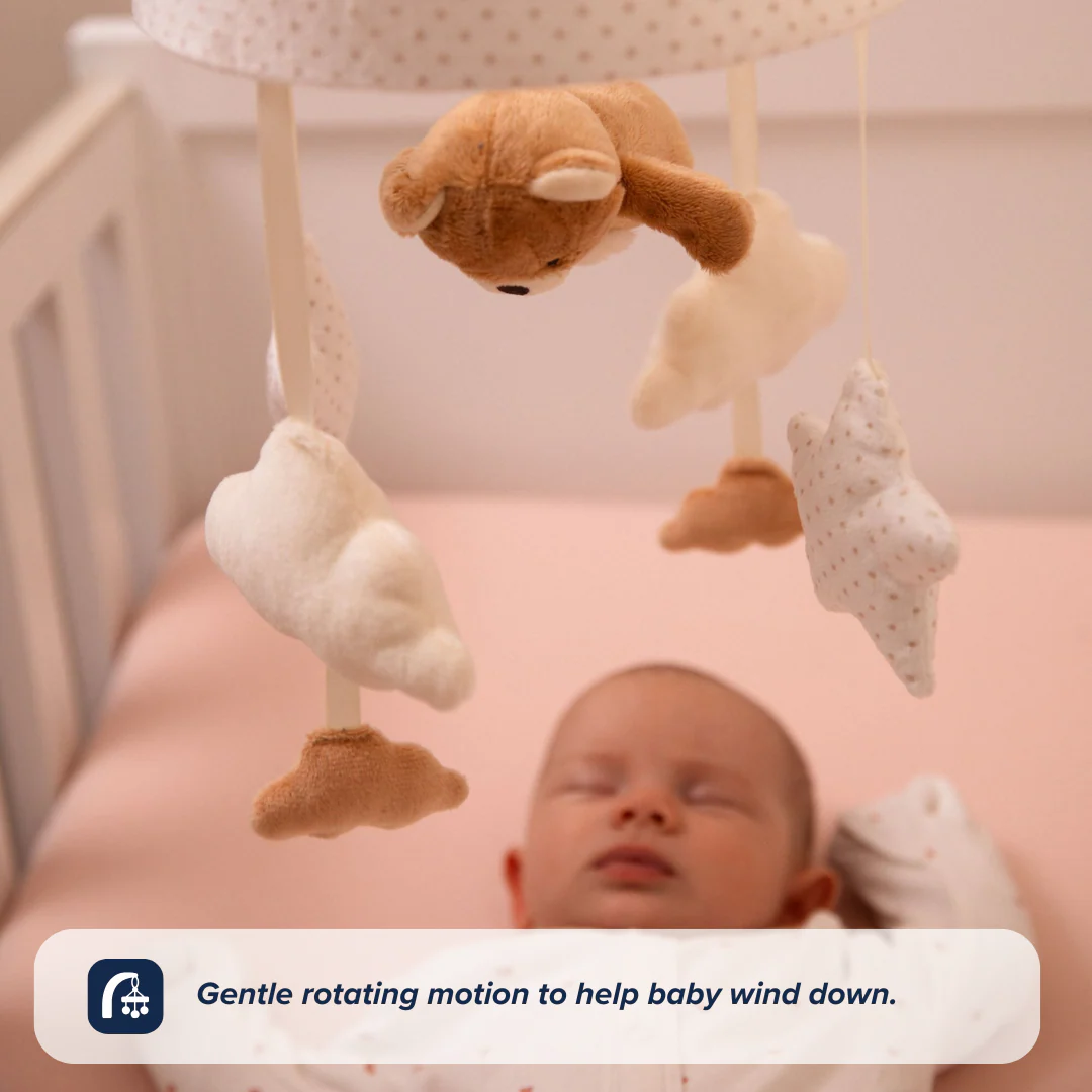 Biscuit Bear Bedtime Bundle - Image 8