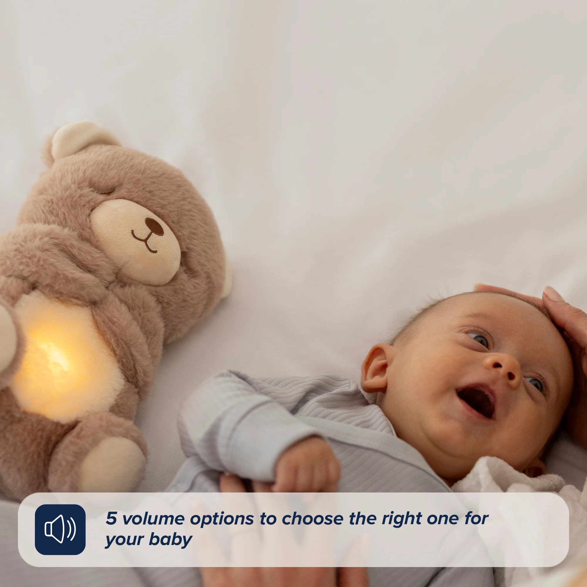 Biscuit Bear Calming Comforter - Image 3