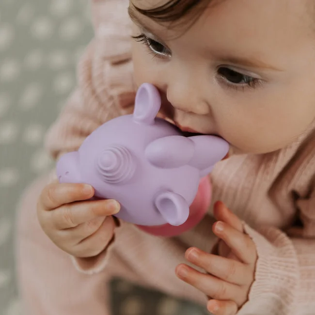 Bobble Highchair & Teething Toy - Image 2