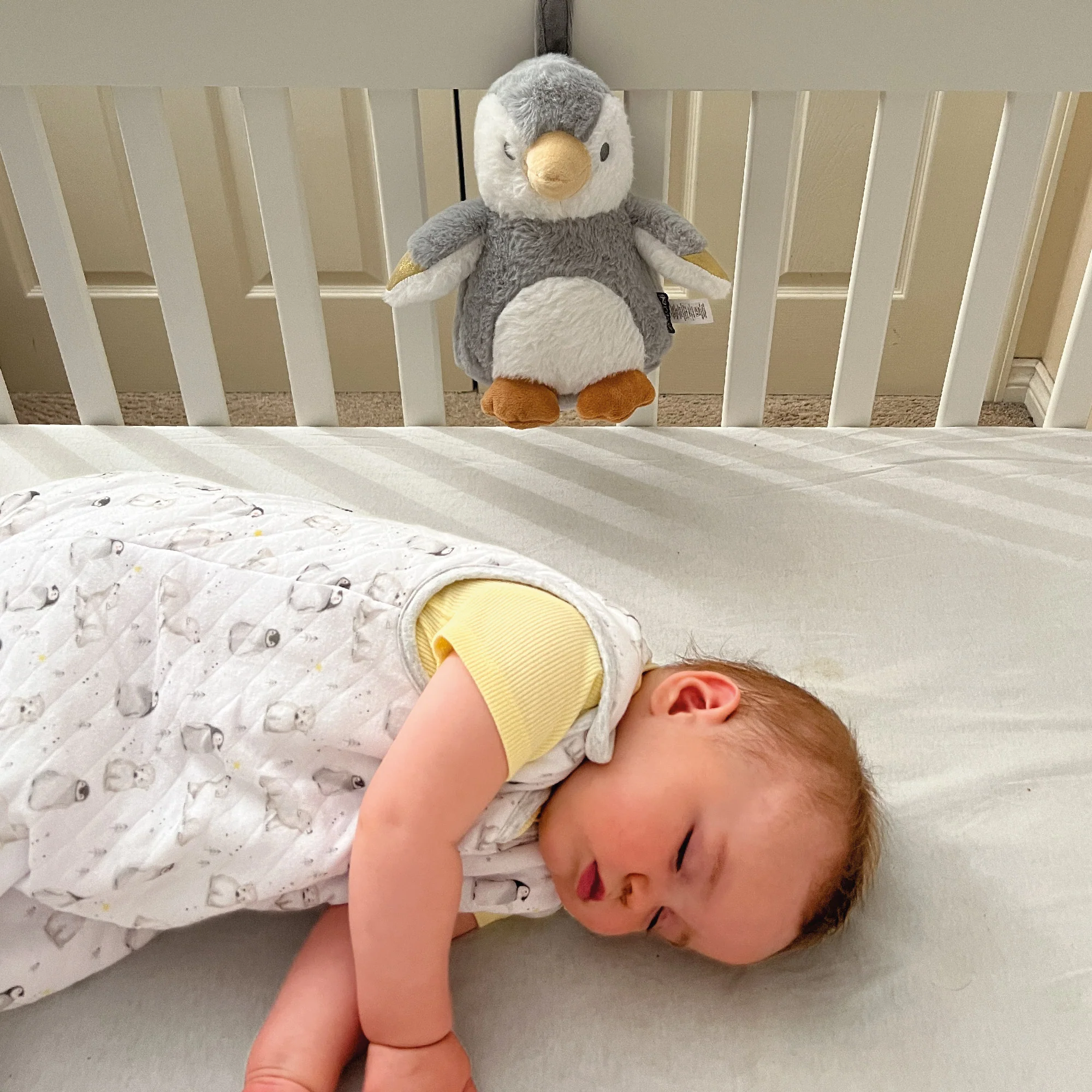 Penguin & Pals Nursery Baby Sleep Bundle - Image 5