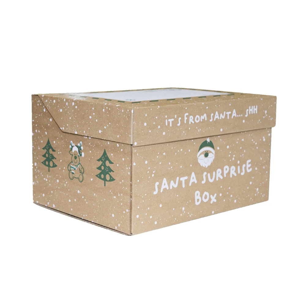 Santa Surprise Christmas Bundle