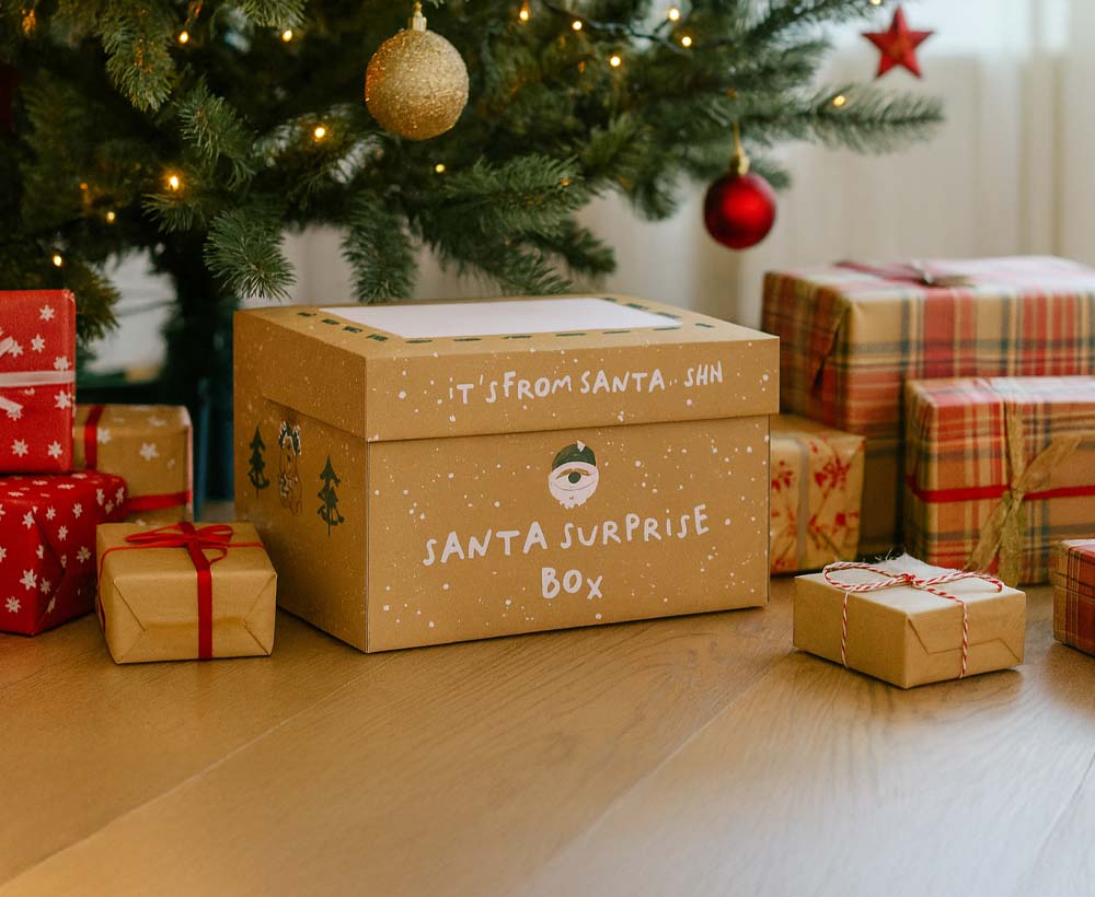 Santa Surprise Christmas Bundle - Image 4