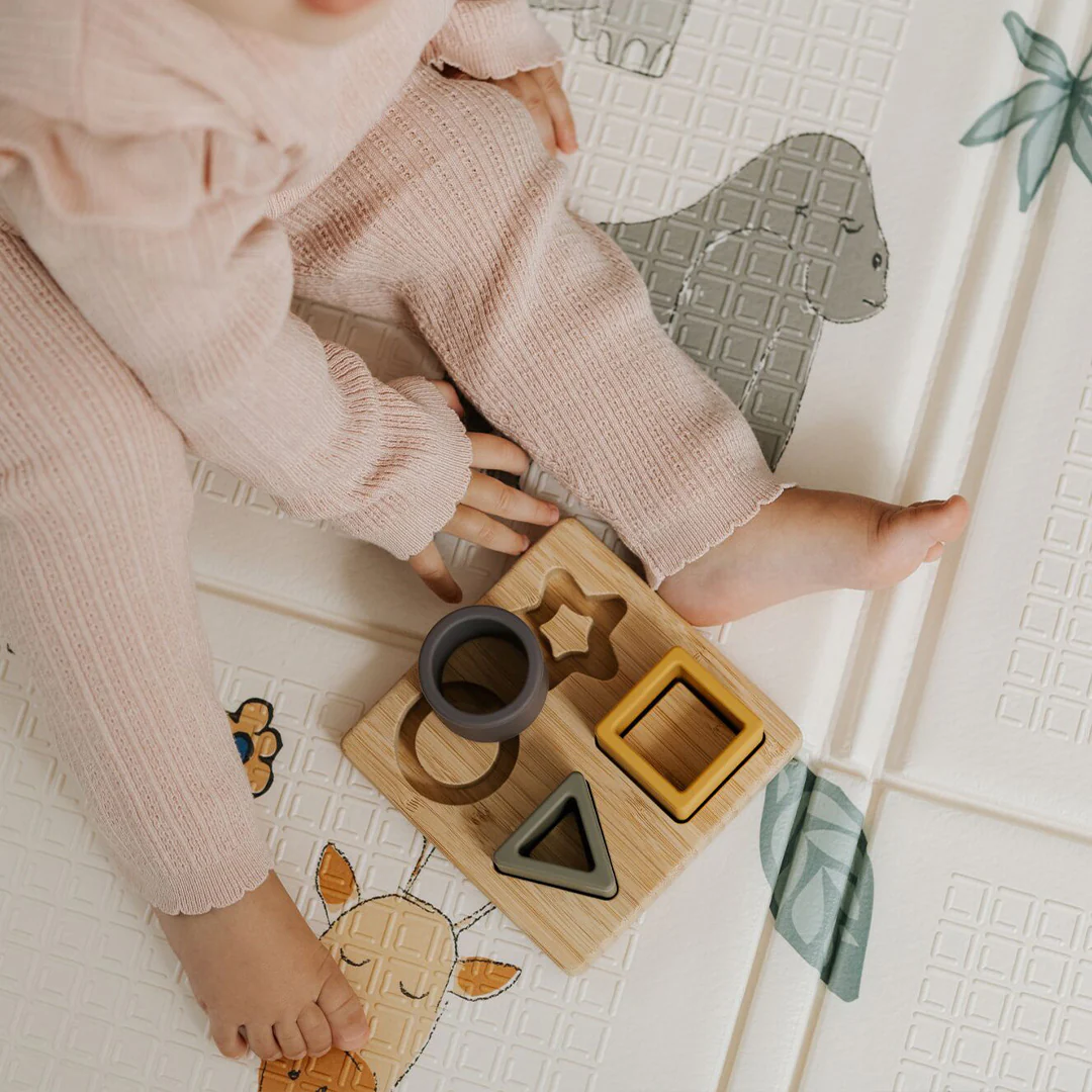 Shape Sorter Learner Toy - Image 3